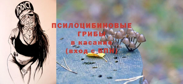 гидропоника Балахна